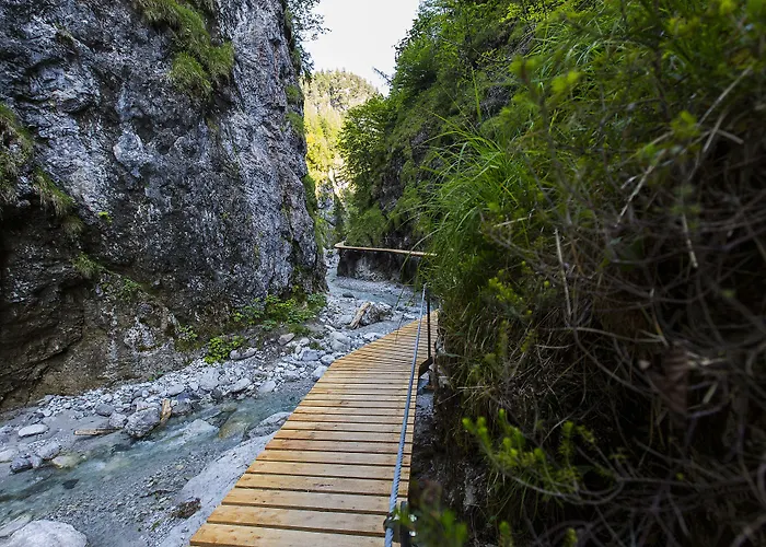 德拉什豪夫酒店 酒店