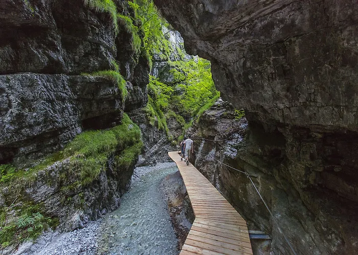 德拉什豪夫酒店 酒店