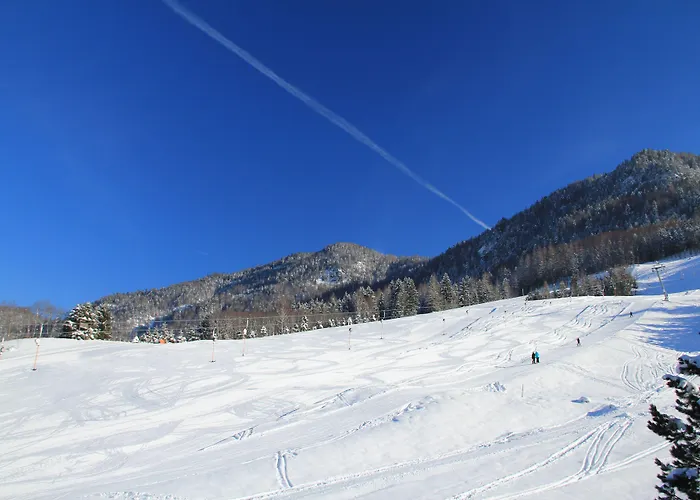 Hotel Der Laerchenhof